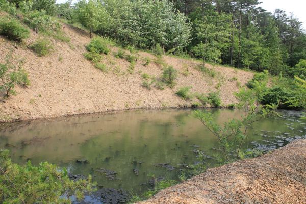 Cost of Pond Erosion Repair in Pickerington