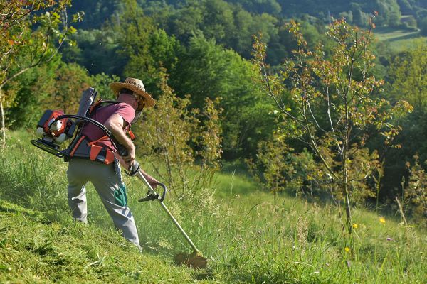 Cost of Slope Trimming in Pickerington